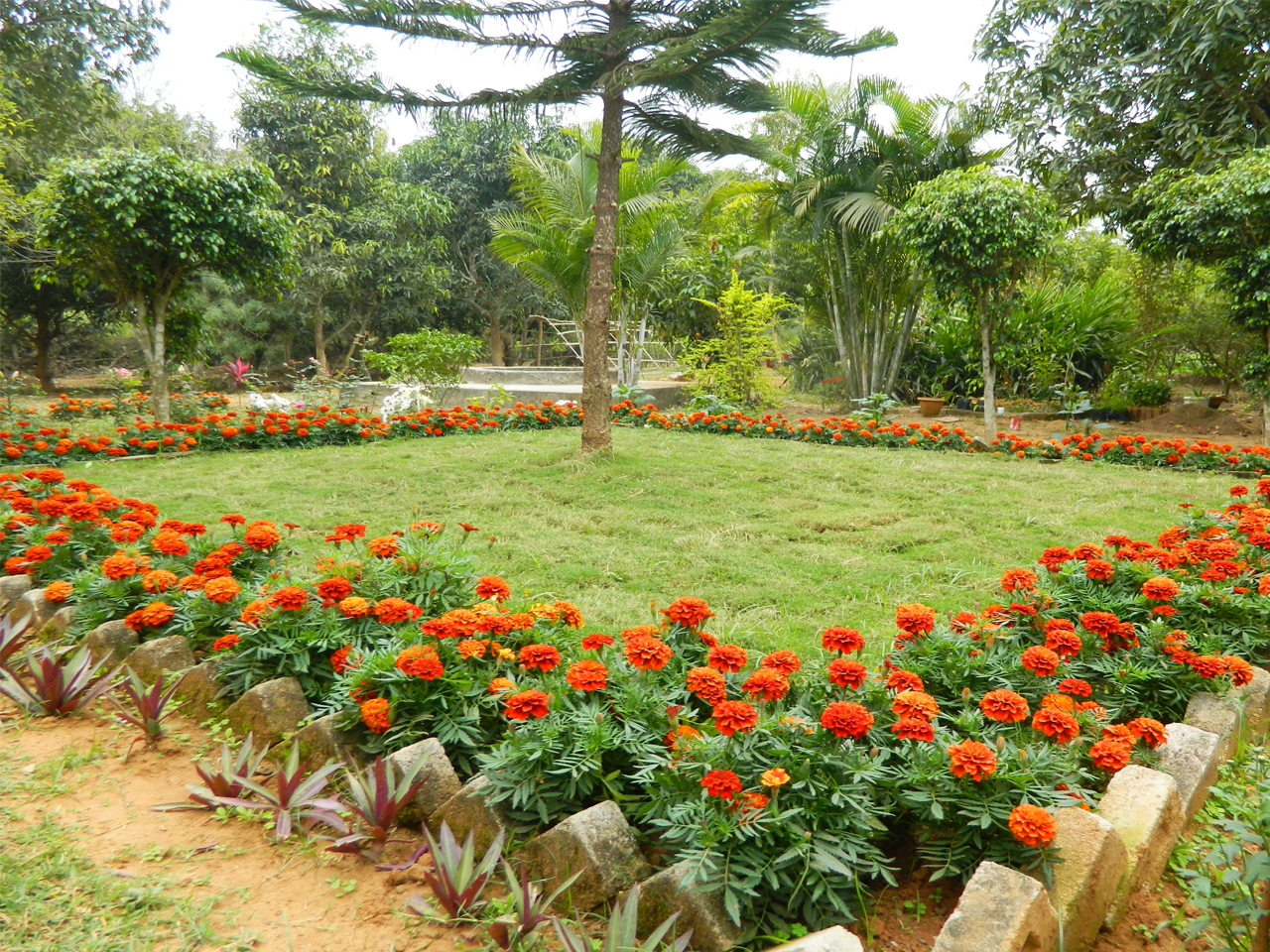GARDEN(LAWN VIEW OF THE CAMPUS)(IRCA)
