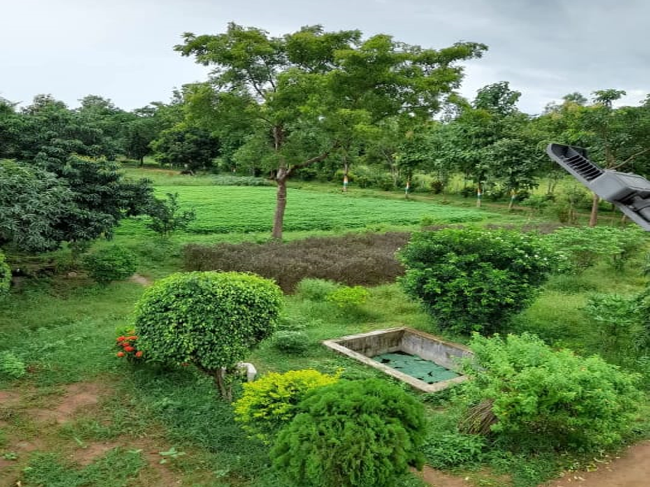GRINARRY VIEW OF OUR CAMPUS(IRCA)